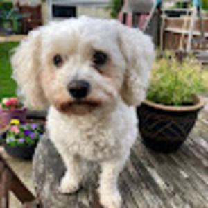 Meet your Posher, Caroline